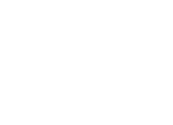 تایر nexen