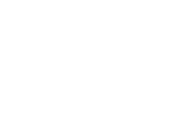 armour