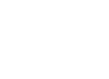 triangle tire
